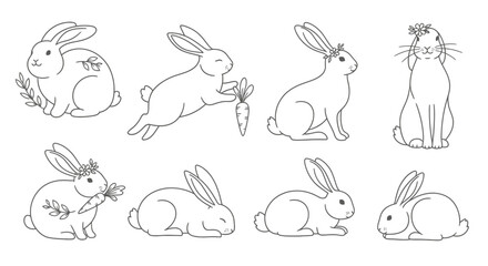 Charming collection of hand-drawn bunnies with floral accents and carrots, perfect for spring and Easter themes.