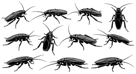 Discover detailed cockroach illustrations in various poses, perfect for pest control or educational content.