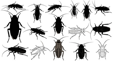 Diverse cockroach silhouettes and illustrations capture pest control needs and scientific study. © Avoxel