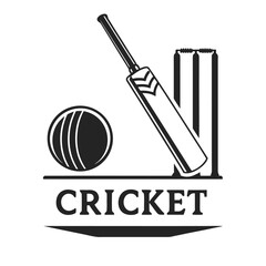 Iconic cricket emblem with bat ball wicket and stars symbolizing sport victory