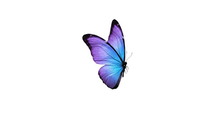 A vibrant blue and purple butterfly with delicate wings mid-flutter, intricate patterns, isolated on transparent background with copy space, high-key macro lighting, concept of innovation and progress
