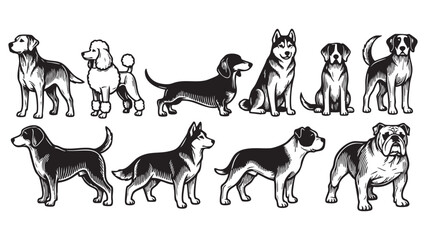 Elegant black and white dog illustrations for pet lovers, perfect for logos and design
