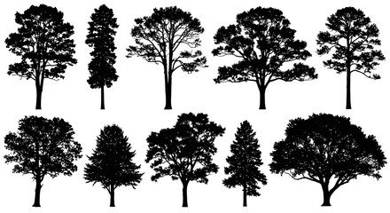 Fototapeta premium Diverse tree silhouettes create natural beauty for design projects and environmental themes