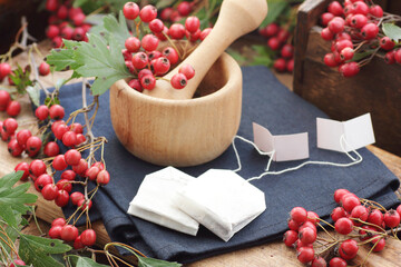 Haw thorn autumn berry in paper teabags on rustic background, red herbal drink against heart...