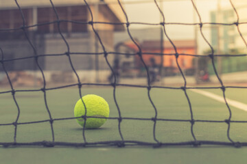 tennis ball and net