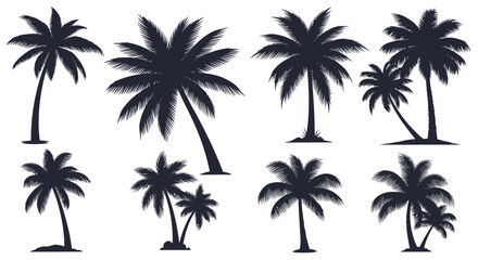 Captivating palm tree silhouettes evoke tropical paradise and serene beach vibes for your designs