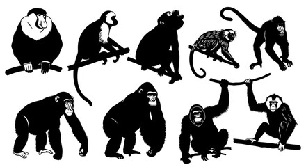 Dynamic collection of black and white primate silhouettes in various poses on branches © Avoxel