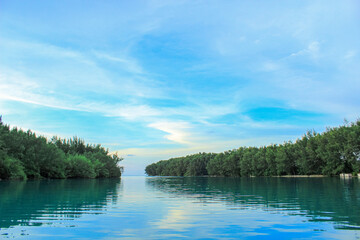 Serene Tropical Waterway with Reflections and Lush Trees
