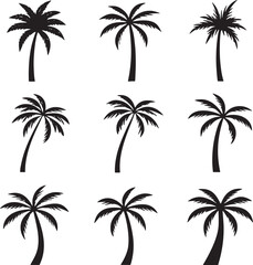 Tropical Palm Silhouettes