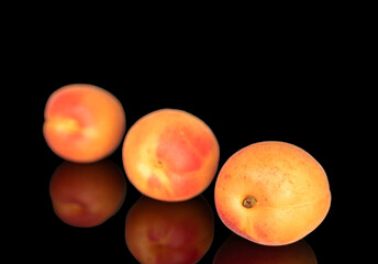 Ripe organic apricots isolated on black background, macro.
