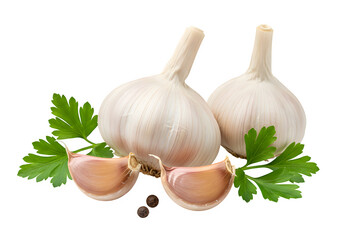 Fresh garlic bulbs with vibrant parsley leaves, ideal for cooking, culinary, and food design themes. isolated on white or transparent background. PNG