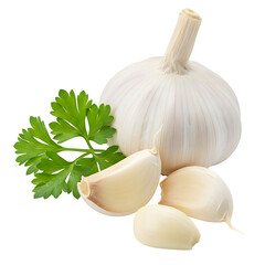 Fresh garlic bulbs with vibrant parsley leaves, ideal for cooking, culinary, and food design themes. isolated on white or transparent background. PNG