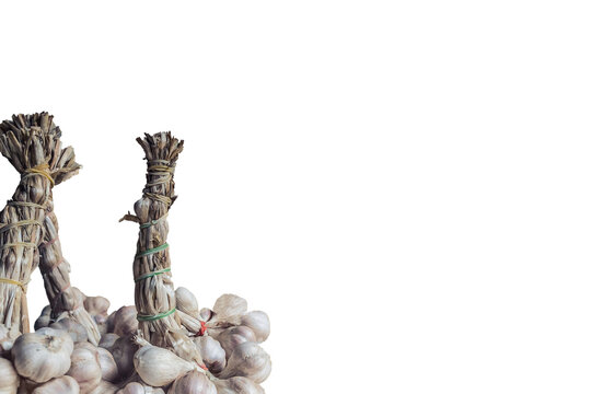 bunch of garlic
