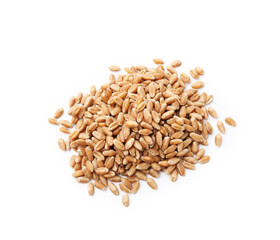 Pile of ripe wheat grains isolated on white, top view