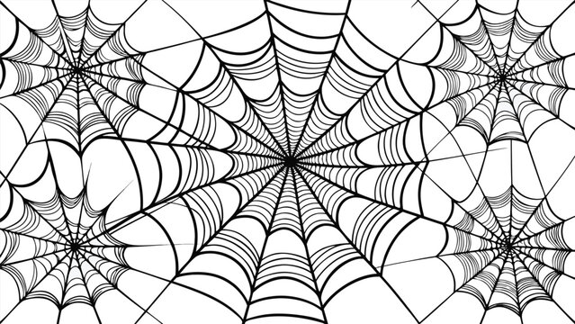 Clean line art illustration of multiple elements with vibrant color options and classic typography