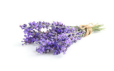 Bundle of beautiful lavender flowers isolated on white