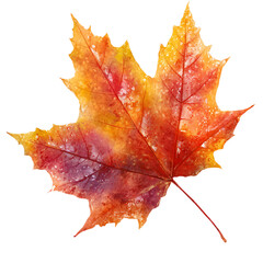 Fototapeta na wymiar Autumn Maple Leaf Watercolor, isolated on transparent background