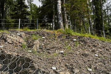 Protective netting on rocky hill slope surrounded by forest trees in natural environment.