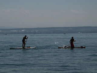 SUP auf dem Bodensee