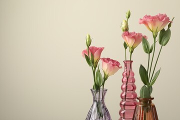 Beautiful eustoma flowers in glass vases on light grey background, closeup. Space for text