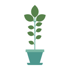 A single young plant sprouting with green leaves in a pot. A simple vector icon representing growth, nature, and ecology