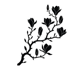 Fototapeta premium Magnolia branch silhouette with blossoms isolated black and white vector illustration