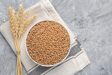 Wheat grains in bowl and spikes on grey table, flat lay. Space for text
