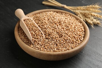Wheat grains in bowl, scoop and spikes on black table, closeup