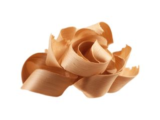Wood shavings curl isolated on transparent or white background, png