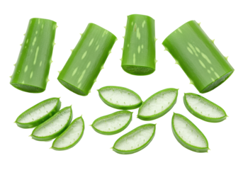 Freshly cut aloe vera plant with vibrant leaves, clear gel cross-sections, and textured slices on a transparent studio background, flat lay, concept of natural health and organic purity