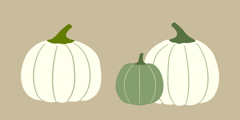 Set of fall seasonal green and white pumpkins clipart.
Hand drawn Autumn harvest Farm fresh pumpkins flat stock vector illustration.
Good for greeting card, poster, banner, leaflet.
White background.

