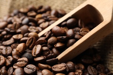 Aromatic coffee beans and scoop in burlap bag, closeup