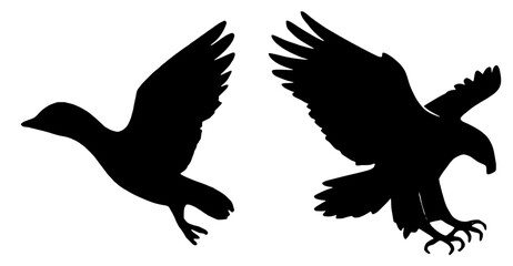 Obraz premium Silhouettes of Two Flying Birds on White Background