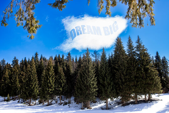 Inspirational winter landscape with evergreen pine forest under a bright blue sky and cloud text saying "Dream Big", symbolizing motivation and ambition.
