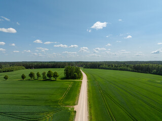 Aerial view of a scenic countryside road in Estonia, surrounded by lush green fields and forest...