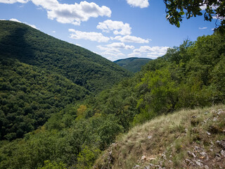 Fototapeta premium A wide forested valley under a bright blue sky with scattered clouds, as seen from the top of Füzérkő in the Bükk Mountains, Hungary.