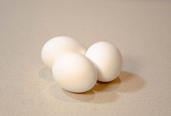 Fresh White Eggs on Kitchen Counter
