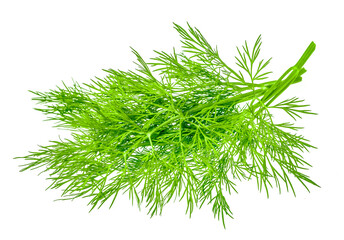 Fresh dill bunch isolated on white background
