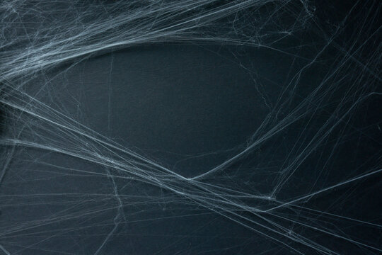 close up spider's web on retro vintage dark black color background for halloween night party design concept concept