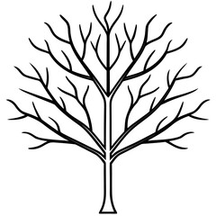 Fototapeta premium Minimal outline icon of a bare winter tree