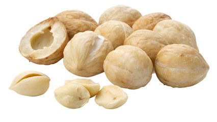 “Ultra HD Isolated Image of Candlenuts (Kukui Nuts) – White Background”