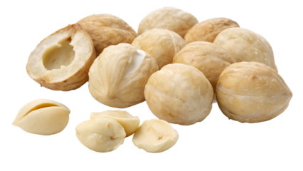 “Ultra HD Isolated Image of Candlenuts (Kukui Nuts) – White Background”