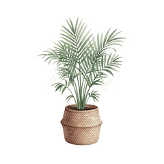 Obraz premium A vibrant illustration of a lush potted plant.