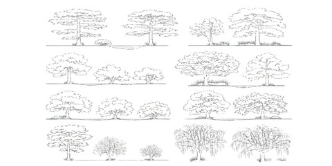 Elegant Sketches of Trees: A series of refined, hand-drawn tree illustrations showcasing a range of tree varieties and formations, ideal for adding a touch of natural beauty.