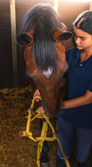 A young female rider haltering her horse in the stable.