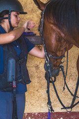 Young female rider grooming horse in stable before equestrian training.