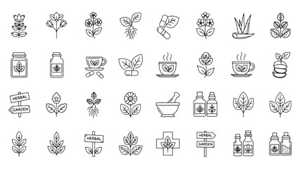 Medicinal herbs line icon set