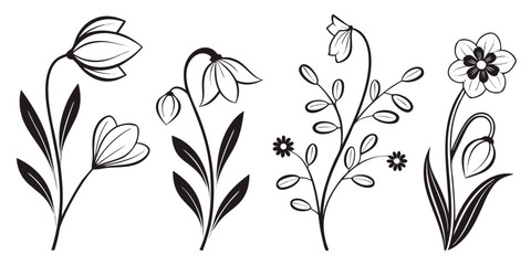 Elegant Black and White Floral Illustrations
