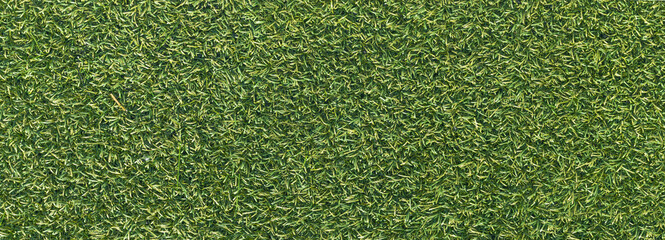 Artificial grass texture with rough surface, panoramic view © MaraCandelaria