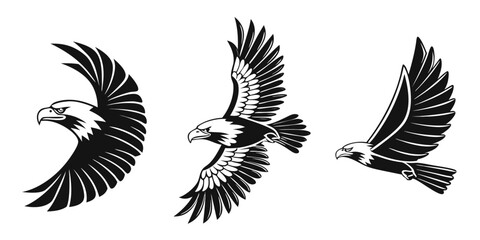 Majestic Eagle Flying Silhouette Collection